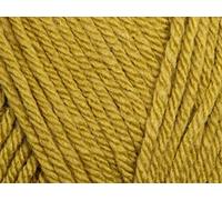 Stylecraft Knitting Yarn/Wool 100g Ball for Knit & Crochet, Special Aran - Lime (1712)