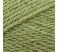 Stylecraft Life DK 100g (2311 Fern)