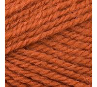 Stylecraft Life DK 100g (2312 Copper)