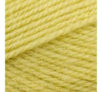 Stylecraft Life DK 100g (2356 Zing)