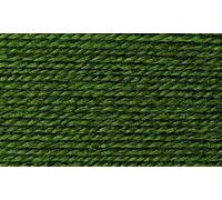 Stylecraft Life DK - Olive (2302)