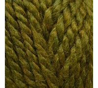 Stylecraft Life Super Chunky 100g Ball - 2714 Guacamole
