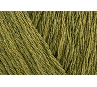 Stylecraft Recreate DK Crochet Yarn, Recycled Fibres Poly Wool Acrylic Blend Double Knitting Wool for Everyday Garments, Accessories, Cabling - 100g Balls - Avocado (3189) - Pack of 10