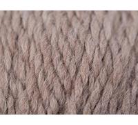 Stylecraft Softie Chunky 100g - 20% Wool (Oats 3983)