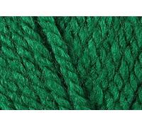 Stylecraft Special Chunky Crochet Yarn, 100% Acrylic Knitting Wool for Blankets, Cushion Covers, Toys, Jumpers - 100g Ball - Green (1116) - Single GET 1 Ball Free-Total 2 Ball