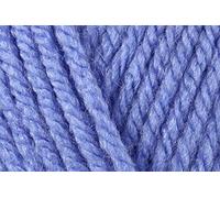 Stylecraft Special Chunky Crochet Yarn, 100% Acrylic Knitting Wool for Blankets, Cushion Covers, Toys, Jumpers - 100g Ball - Bluebell (1082) - Single GET 1 Ball Free-Total 2 Ball