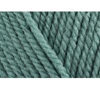 Stylecraft Special Chunky Crochet Yarn, 100% Acrylic Knitting Wool for Blankets, Cushion Covers, Toys, Jumpers - 100g Ball - Sage (1725) - Single GET 1 Ball Free-Total 2 Ball