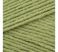 Stylecraft Special Chunky Knitting Wool/Yarn 100g - 1065 Meadow, 10 x 100g Balls