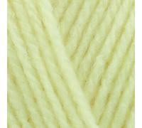 Stylecraft Special DK 100g (Green Lemon 2188)