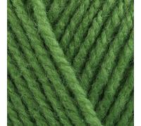 Stylecraft Special DK 100g (Leaf 2176)