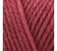 Stylecraft Special DK 100g (Pink Rhubarb 2175)
