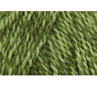 Stylecraft Special DK Crochet Yarn, Soft 100% Acrylic Double Knitting Wool for Baby Blankets, Cardigans, Hats, Jumpers - 100g Balls - Greengage (1124) - Pack of 10