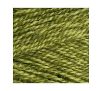 Stylecraft Special DK - Greengage (1124), Single 100g Ball, Popular Knitting & Crochet Yarn, 100% Acrylic, 295 Metres