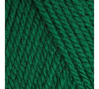 Stylecraft Special DK Knitting Wool/Yarn 100g - 1116 Green, 5 x 100g Balls