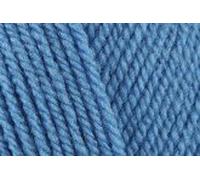 Stylecraft Special DK Yarn 100gms Aster 1003