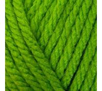 Stylecraft Special XL Super Chunky 200g Ball (1821 Grass Green)