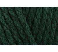Stylecraft Special XL Super Chunky Crochet Yarn, 100% Acrylic Knitting Wool for Blankets, Cushion Covers - 200g Ball - Bottle (1009) - Single GET 1 Ball Free-Total 2 Ball