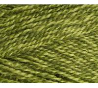 Stylecraft Yarn, Greengage (1124), 100g