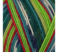 Stylecraft Yarns Head Over Heels - Colours of The World 4 Ply Sock Wool Yarn 100g (Amazon 1162)