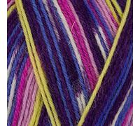 Stylecraft Yarns Head Over Heels - Colours of The World 4 Ply Sock Wool Yarn 100g (Guatemala 1165)