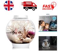Stylish 15L Classic Fish Tank - Complete Starter Set with Integrated LED Lights