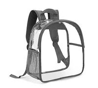 Stylish and Clear Backpack with Enough Space for and Books