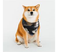 Stylish Dog Bandana - Unique Customized Patterns for Pet Clothes, Perfect for Dog Birthday, Valentine's Day, and More - Durable Polyester Pet Scarf The Killer Whale in the Room
