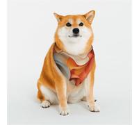 Stylish Dog Bandana - Unique Customized Patterns for Pet Clothes, Perfect for Dog Birthday, Valentine's Day, and More - Durable Polyester Pet Scarf Soft Complementary Colors Large