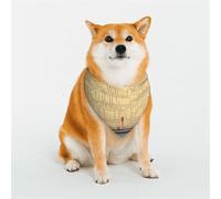Stylish Dog Bandanas - Patterns for Dog Valentines, Birthdays & More - Soft Polyester Pet Clothes Enter the Maze of Thinking Large