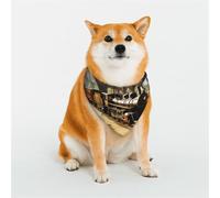 Stylish Dog Bandanas - Patterns for Dog Valentines, Birthdays & More - Soft Polyester Pet Clothes Mystery Train Medium
