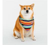 Stylish Dog Bandanas - Patterns for Dog Valentines, Birthdays & More - Soft Polyester Pet Clothes Orange neon Stripe Small