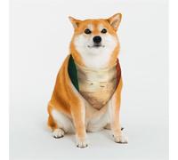 Stylish Dog Bandanas - Patterns for Dog Valentines, Birthdays & More - Soft Polyester Pet Clothes Retro Irish Flag Medium