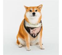 Stylish Dog Bandanas - Patterns for Dog Valentines, Birthdays & More - Soft Polyester Pet Clothes The Cute Little Pig in the Apartment Medium