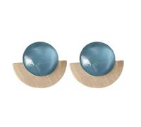 Stylish Fan Shaped Earrings Craft From Sturdy Resin Materials Accessory For Trendy Women With Tastes For Fashion Resin Drop Earrings