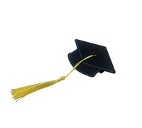 Stylish Graduation Hat Shaped Hair Clip with Flowing Tassels Fun Graduation Photo Accessory for Girls and Women Unmarried Hat Hairpin