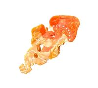 Stylish Jellyfish Acetate Hair Clip Claw Unique Designs Women's Hair Accessory For Daily Outings And Casual Gatherings