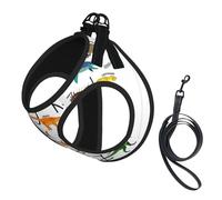 Stylish Learning Alphabets With Dinosaurs Print Harness Leash Set For Cats And Dogs, Reflective Adjustable, Soft Breathable Mesh Vest With Escape-Proof Lead, For Small Pets And Kitten Puppies