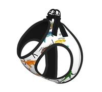 Stylish Learning Alphabets with Dinosaurs Print Pet Leash Vest Soft Adjustable Step in Puppy Vest Outdoor Walking with Leash