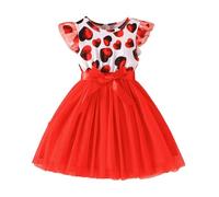 Stylish Mesh Dress for Little Girls Children's Fashion Party and Casual Wear Comfortable Breathable Design Valentine'S Day My First Outfit Girl Kids Fancy Outfits 3-4 Years Birthday Valentines Clothes