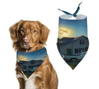Stylish Pet Bandana for Cats & Dogs, an Old Abandoned House Print Triangle Scarf, Lightweight & Durable, Perfect for Daily Wear Or Special Events