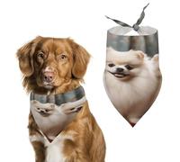 Stylish Pet Bandana for Cats & Dogs, Short-haired Pomeranian Dog Print Triangle Scarf, Lightweight & Durable, Perfect for Daily Wear Or Special Events