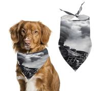 Stylish Pet Bandana for Cats & Dogs, Steam Train Clouds Print Triangle Scarf, Lightweight & Durable, Perfect for Daily Wear Or Special Events