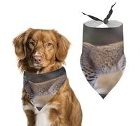 Stylish Pet Bandana for Cats & Dogs, Wild Bobcat Print Triangle Scarf, Lightweight & Durable, Perfect for Daily Wear Or Special Events