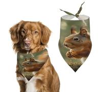 Stylish Pet Bandana for Cats & Dogs, Wildlife Squirrel Print Triangle Scarf, Lightweight & Durable, Perfect for Daily Wear Or Special Events