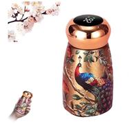 Stylish & Portable Insulated Water Bottle with Temperature Display, 230ml Portable Insulated Stainless Steel Water Bottle, Flask Hot Cold Drinks Container for Gym, Hiking, Office (C)