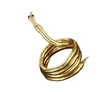 Stylish Snake Designs Necklace In Gold Tone For Trendy Women Looking To Enhances Their Daily Or Evening Outfits Versatile Styles Necklace