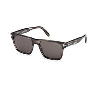 Stylish Sunglasses Calder - male - Tom Ford - Sunglasses - Multicolor - 55 MM - Accessories 55 MM