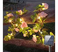 SUAVER Solar Rose Vine String Lights Outdoor Decorative Artificial Rose Flower Ivy Garland Light,Waterproof Solar Fairy Light Champagne Roses Decor for Balcony Terrace Fence Wedding Party (5m 50LED)