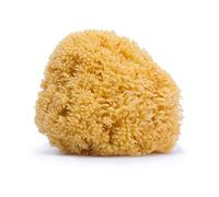 Suavinex 3302927 Natural Sponge Large