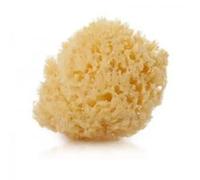 Suavinex Natural Sponge Large +0 Months